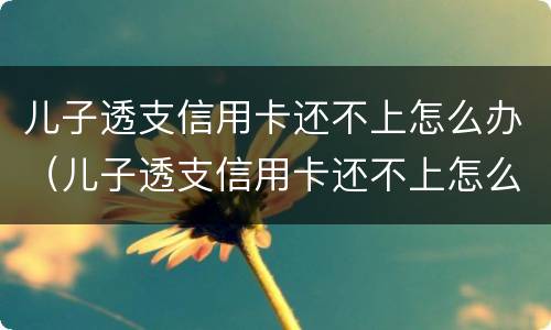 儿子透支信用卡还不上怎么办（儿子透支信用卡还不上怎么办呀）