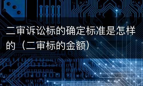 二审诉讼标的确定标准是怎样的（二审标的金额）