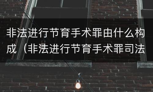 非法进行节育手术罪由什么构成（非法进行节育手术罪司法解释）
