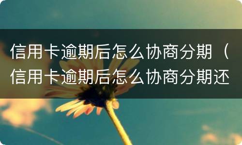 信用卡逾期后怎么协商分期（信用卡逾期后怎么协商分期还本金）