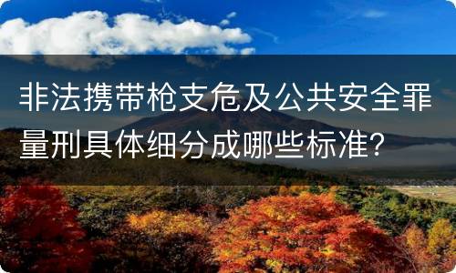 非法携带枪支危及公共安全罪量刑具体细分成哪些标准？