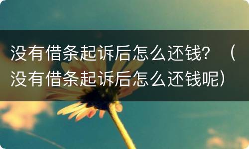 没有借条起诉后怎么还钱？（没有借条起诉后怎么还钱呢）