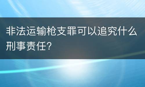 非法运输枪支罪可以追究什么刑事责任?