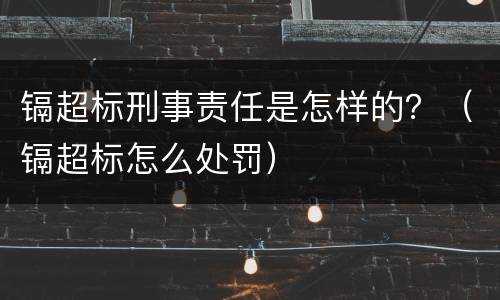 镉超标刑事责任是怎样的？（镉超标怎么处罚）