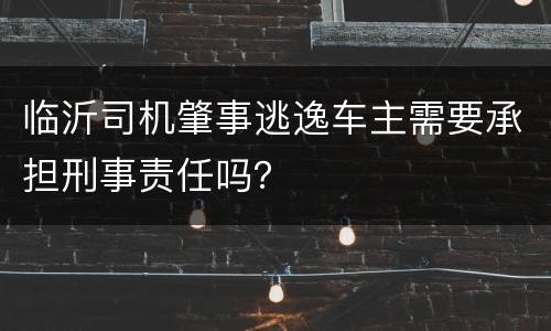 临沂司机肇事逃逸车主需要承担刑事责任吗？