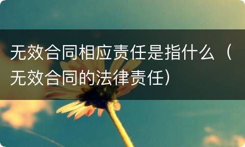 无效合同相应责任是指什么（无效合同的法律责任）