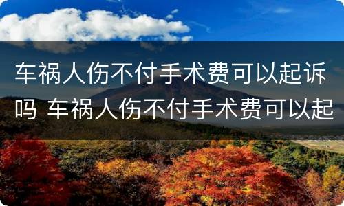 车祸人伤不付手术费可以起诉吗 车祸人伤不付手术费可以起诉吗法院