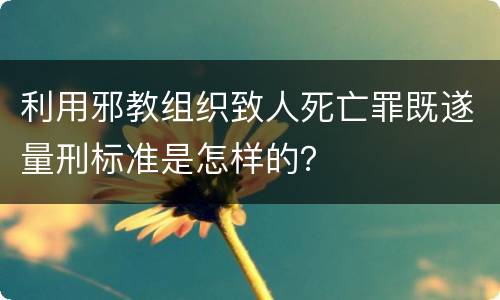利用邪教组织致人死亡罪既遂量刑标准是怎样的？