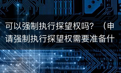 可以强制执行探望权吗？（申请强制执行探望权需要准备什么）