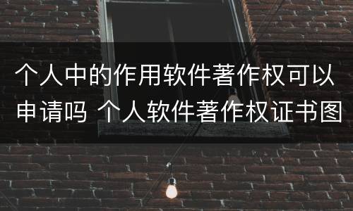 个人中的作用软件著作权可以申请吗 个人软件著作权证书图片