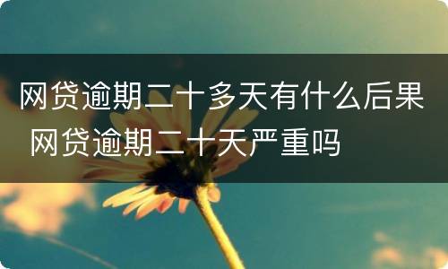 网贷逾期二十多天有什么后果 网贷逾期二十天严重吗