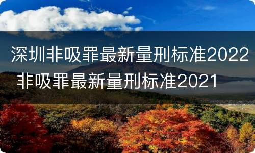 深圳非吸罪最新量刑标准2022 非吸罪最新量刑标准2021