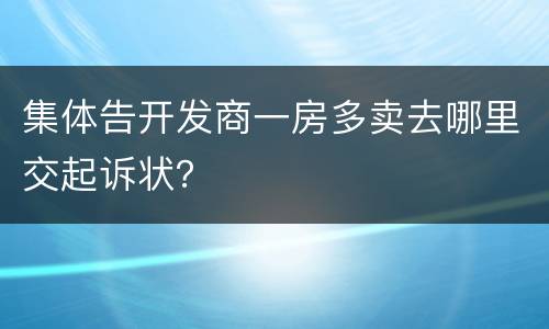 集体告开发商一房多卖去哪里交起诉状？