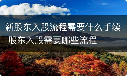 新股东入股流程需要什么手续 股东入股需要哪些流程