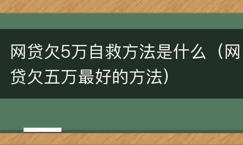 网贷欠5万自救方法是什么（网贷欠五万最好的方法）