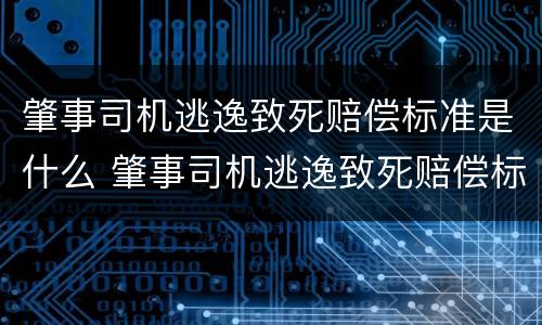 肇事司机逃逸致死赔偿标准是什么 肇事司机逃逸致死赔偿标准是什么呢