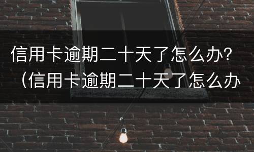 信用卡逾期二十天了怎么办？（信用卡逾期二十天了怎么办理）