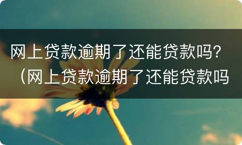 网上贷款逾期了还能贷款吗？（网上贷款逾期了还能贷款吗怎么办）