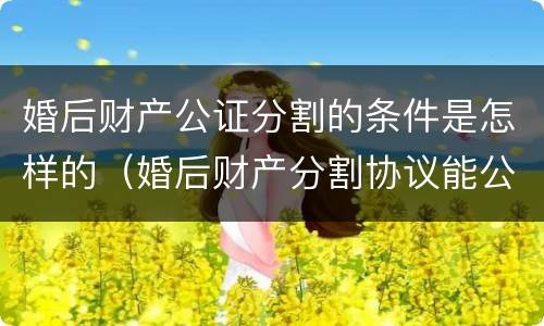 婚后财产公证分割的条件是怎样的（婚后财产分割协议能公证吗）