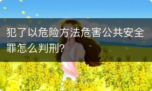 犯了以危险方法危害公共安全罪怎么判刑？