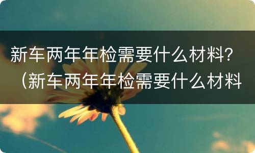 新车两年年检需要什么材料？（新车两年年检需要什么材料和手续）