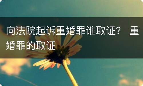 向法院起诉重婚罪谁取证？ 重婚罪的取证