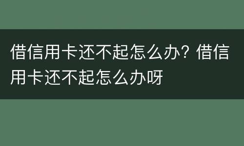 借信用卡还不起怎么办? 借信用卡还不起怎么办呀