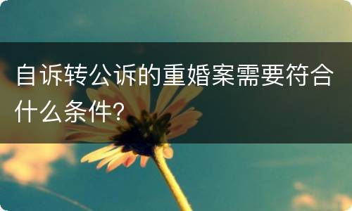 自诉转公诉的重婚案需要符合什么条件？