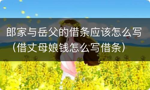 郎家与岳父的借条应该怎么写（借丈母娘钱怎么写借条）