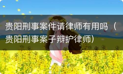 贵阳刑事案件请律师有用吗（贵阳刑事案子辩护律师）