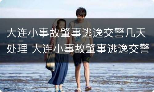 大连小事故肇事逃逸交警几天处理 大连小事故肇事逃逸交警几天处理完毕