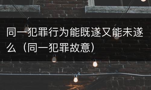 同一犯罪行为能既遂又能未遂么（同一犯罪故意）