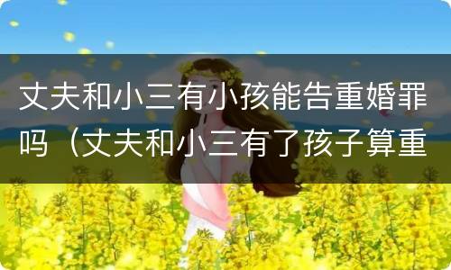 丈夫和小三有小孩能告重婚罪吗（丈夫和小三有了孩子算重婚罪吗）