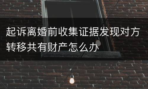 起诉离婚前收集证据发现对方转移共有财产怎么办