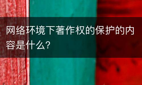 网络环境下著作权的保护的内容是什么？