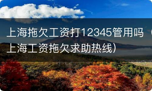 上海拖欠工资打12345管用吗（上海工资拖欠求助热线）
