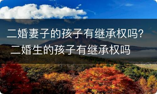 二婚妻子的孩子有继承权吗？ 二婚生的孩子有继承权吗