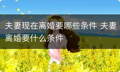 夫妻现在离婚要哪些条件 夫妻离婚要什么条件