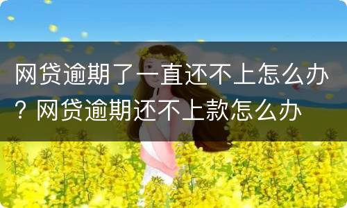 网贷逾期了一直还不上怎么办? 网贷逾期还不上款怎么办