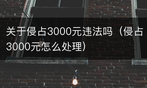 关于侵占3000元违法吗（侵占3000元怎么处理）
