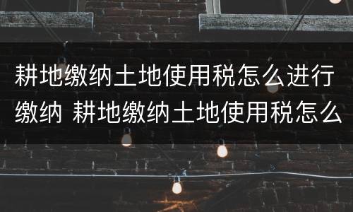 耕地缴纳土地使用税怎么进行缴纳 耕地缴纳土地使用税怎么进行缴纳申报