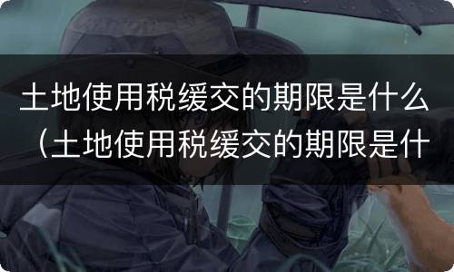 土地使用税缓交的期限是什么（土地使用税缓交的期限是什么）