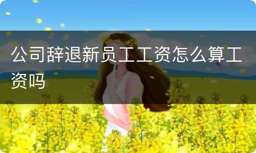 公司辞退新员工工资怎么算工资吗