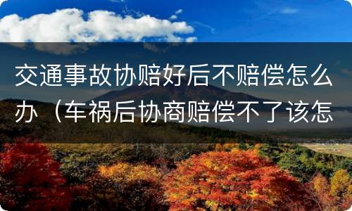 交通事故协赔好后不赔偿怎么办（车祸后协商赔偿不了该怎么办）