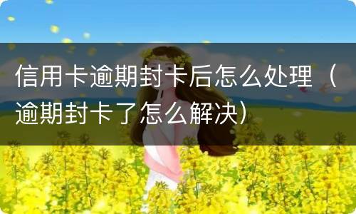 信用卡逾期封卡后怎么处理（逾期封卡了怎么解决）