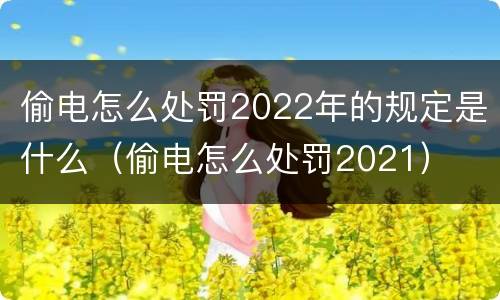 偷电怎么处罚2022年的规定是什么（偷电怎么处罚2021）