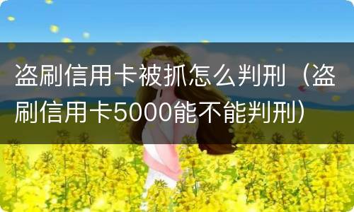 盗刷信用卡被抓怎么判刑（盗刷信用卡5000能不能判刑）