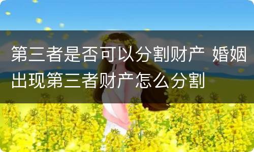 第三者是否可以分割财产 婚姻出现第三者财产怎么分割
