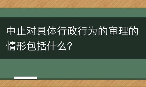 中止对具体行政行为的审理的情形包括什么？