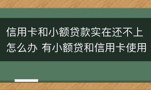 信用卡和小额贷款实在还不上怎么办 有小额贷和信用卡使用影响按揭贷款